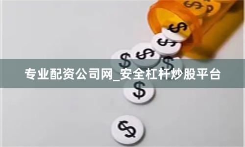 专业配资公司网_安全杠杆炒股平台