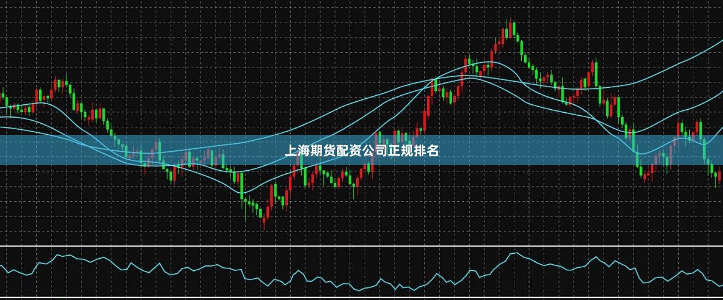 上海期货配资公司正规排名